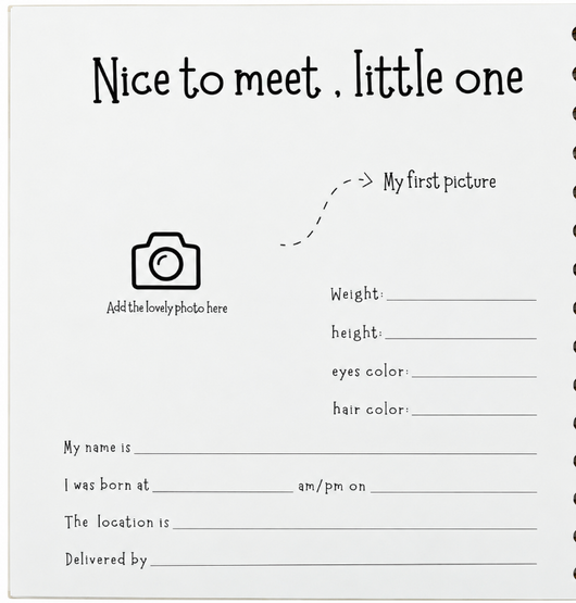 Baby Memory Book